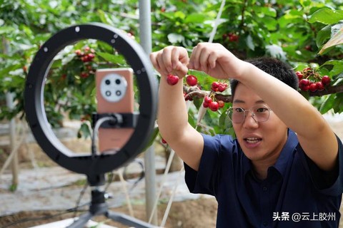 樱桃视频直[图1]