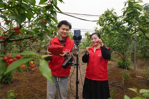 樱桃视频直[图2]