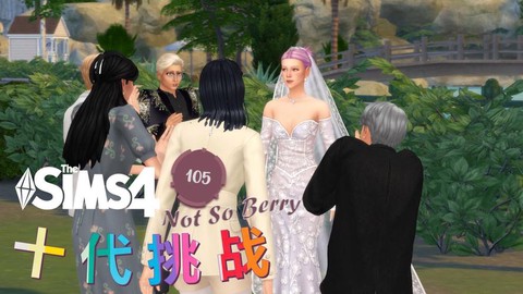 模拟人生4怎么办婚礼