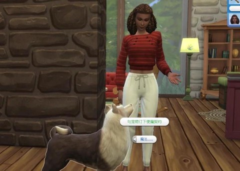 模拟人生4怎么宠物[图1]